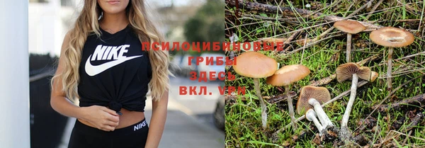 мдма Гусев