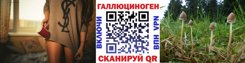 мориарти состав KRAKEN как зайти Москва Галлюциногенные грибы ЛСД